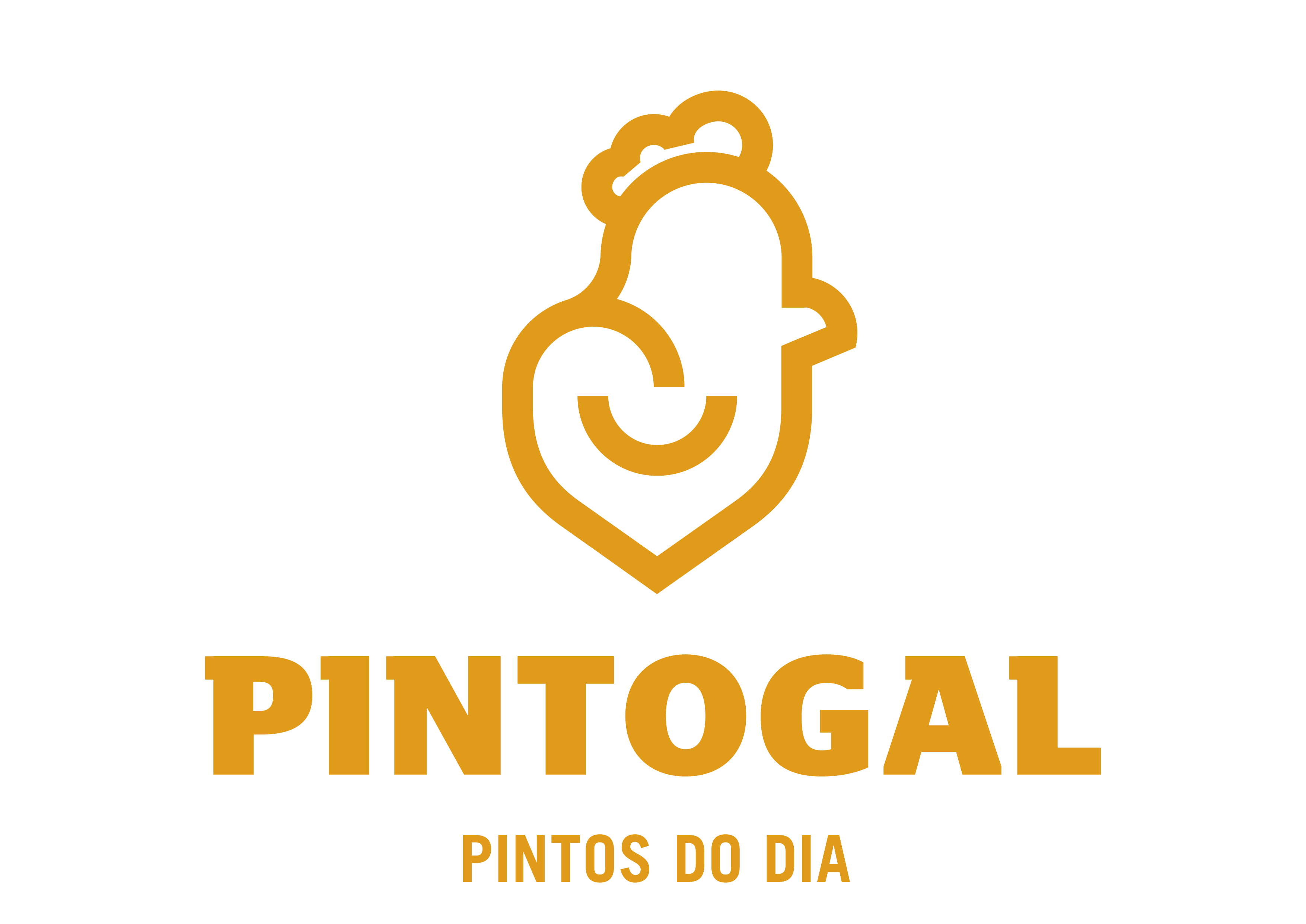 Pintogal